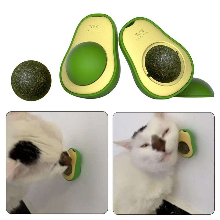 Kedi Yalama Topu Avokado Şeklinde Catnip (Kedi Otlu)