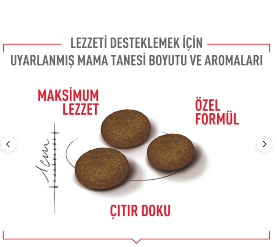 Royal Canin Fussy Exigent Seçici Kediler Için Kuru Kedi Maması 4kg