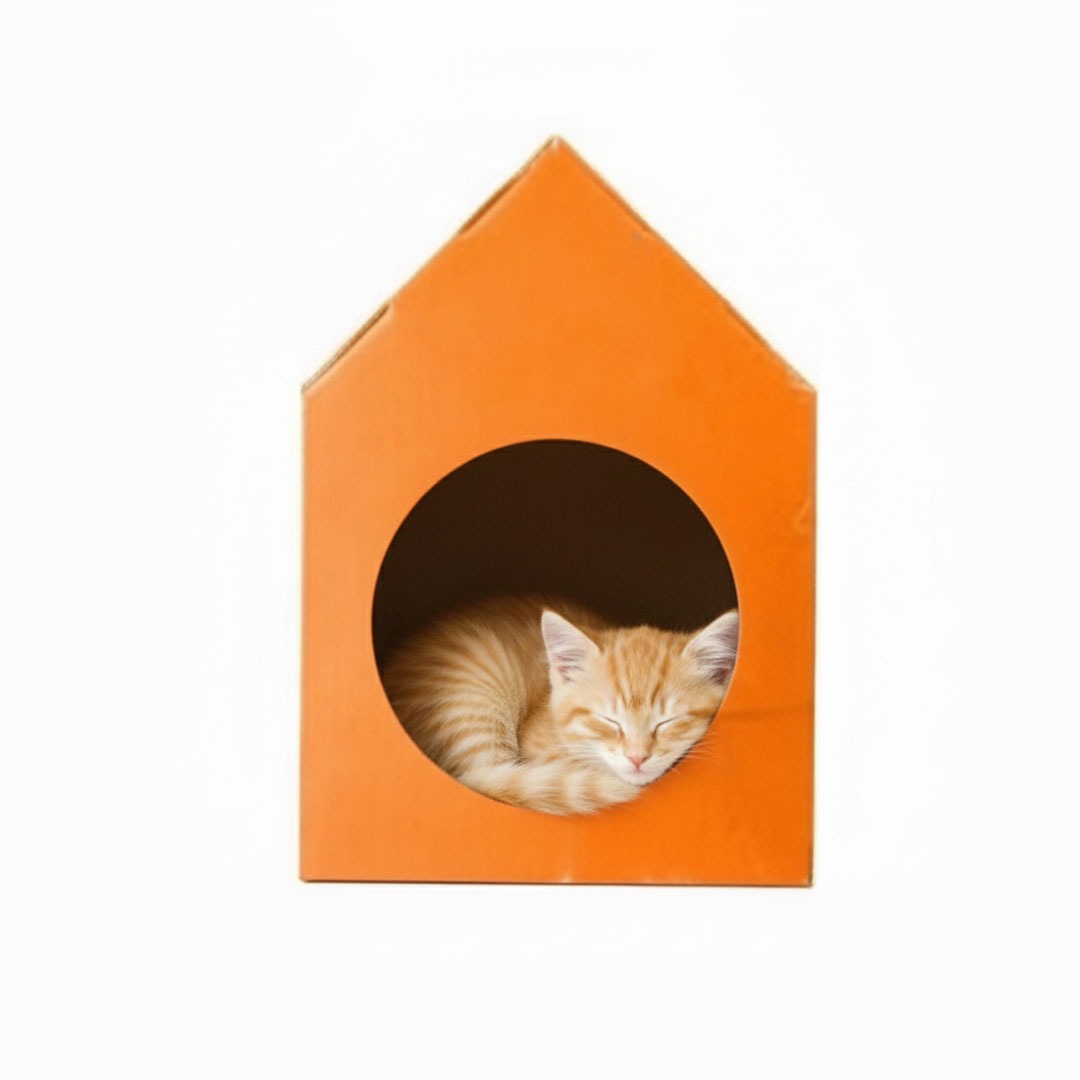 Kedi Evi Su Geçirmez