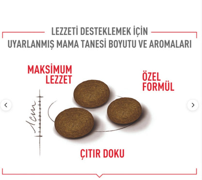 Royal Canin Fussy Exigent Seçici Kediler Için Kuru Kedi Maması 4kg
